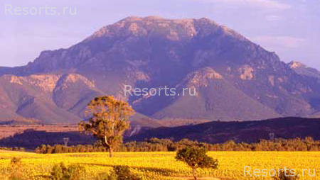 Is Morus Relais 55